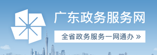 廣東政務服務